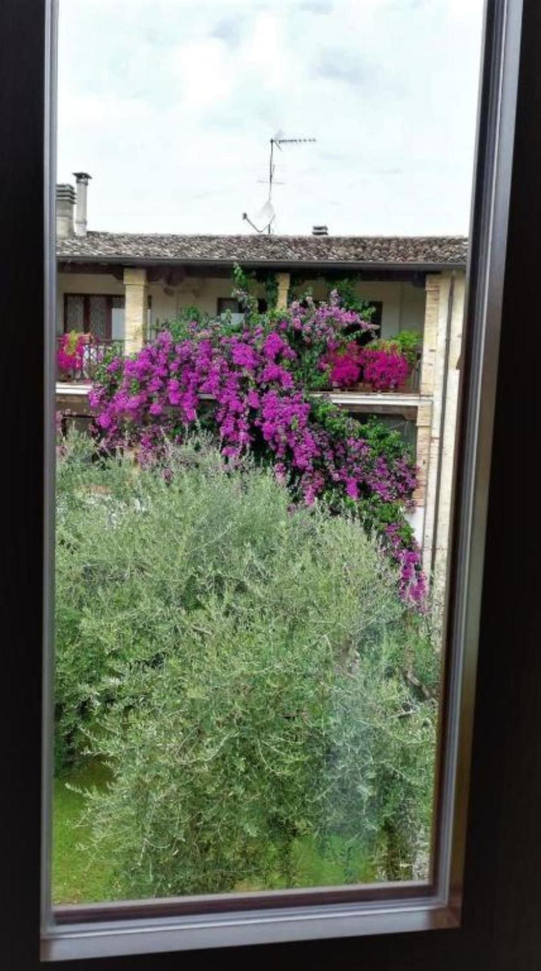 سان فيليتْشي ديل بيناكو Dolce Lago B&B المظهر الخارجي الصورة